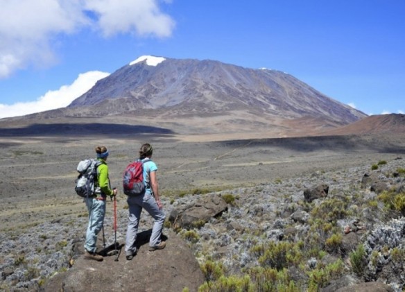 climb Kilimanjaro (2)
